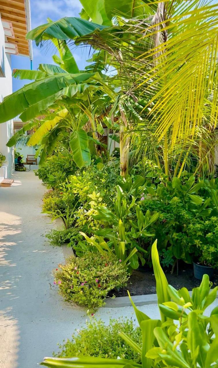 Hotel Seaside Dhigurah Dhigurah  Exterior foto