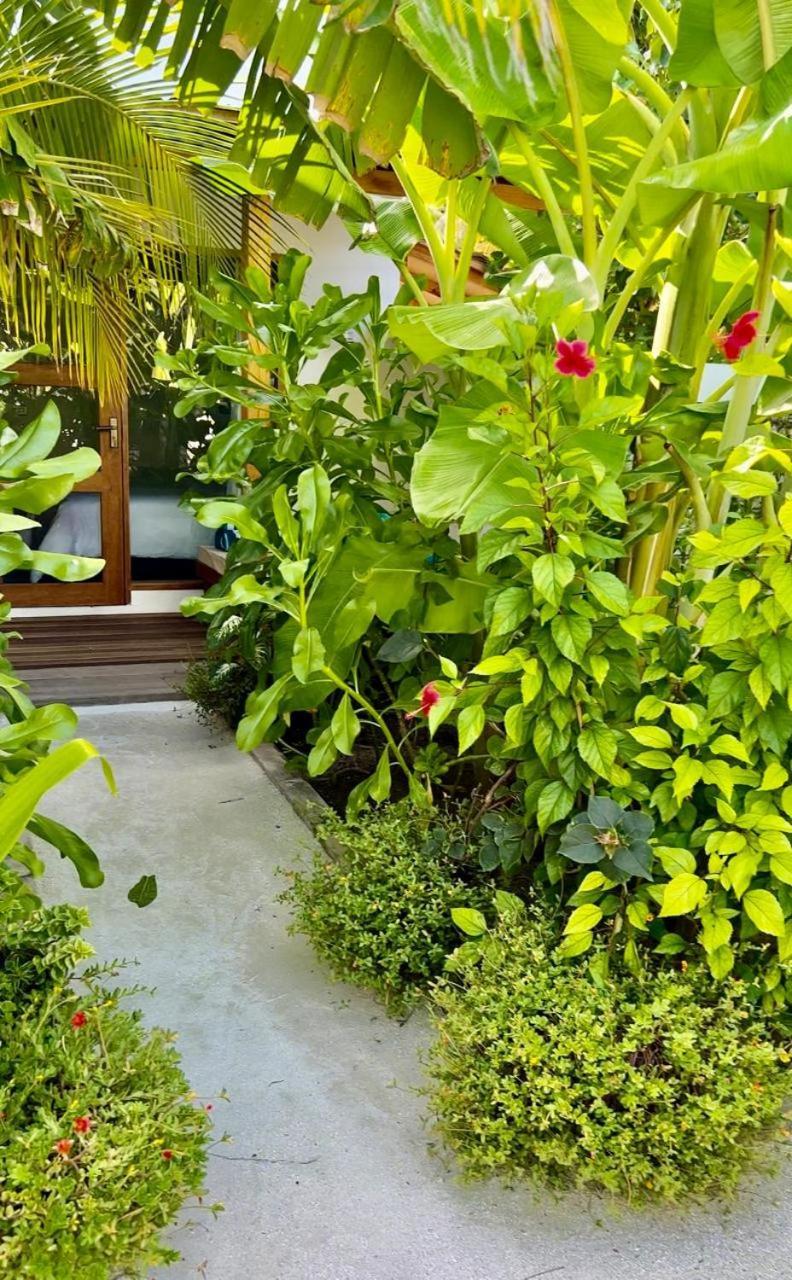 Hotel Seaside Dhigurah Dhigurah  Exterior foto