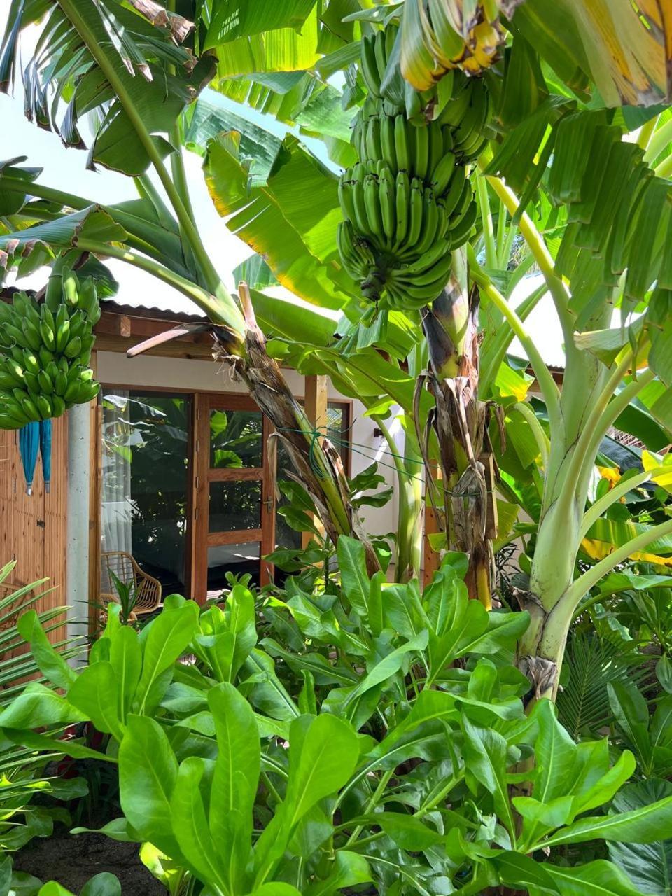 Hotel Seaside Dhigurah Dhigurah  Exterior foto